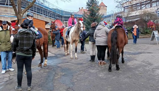 Weihnachtsmarkt 2024, Bild 9