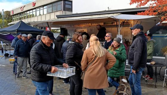 Borkemer Herbst 2025, Bild 12
